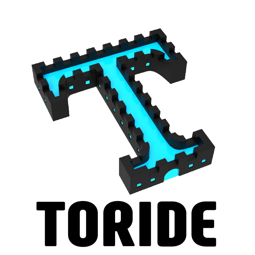 TORIDE 独自開発メッシュ解析・修正ソフト